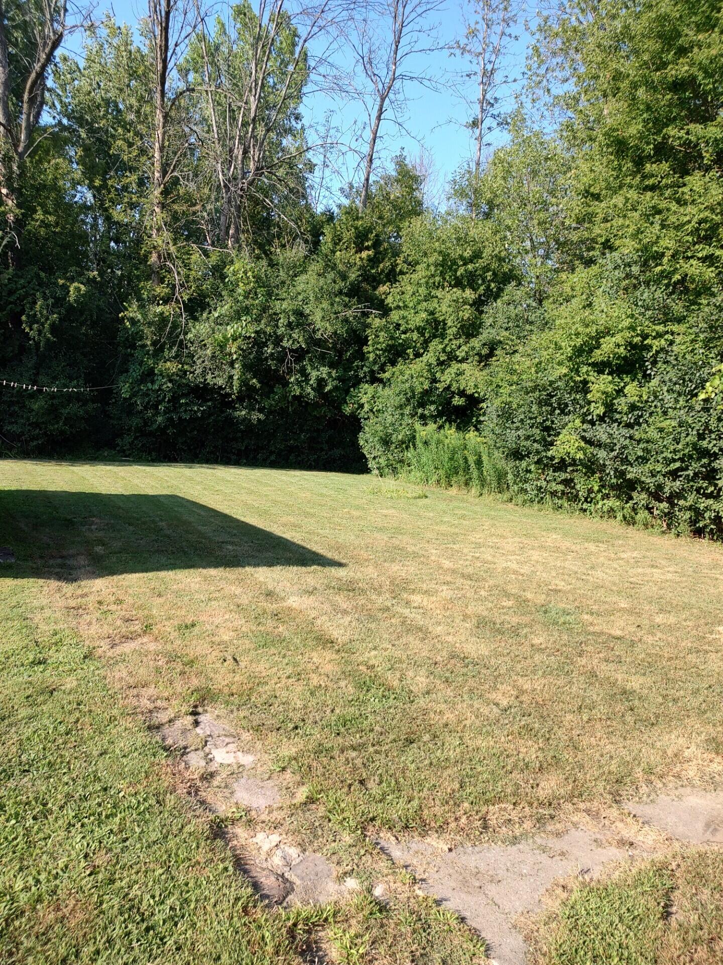 372 Rugar Street Plattsburgh, NY 12901 - Photo 16 of 22 Gallery Image 16