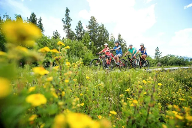 a view of a lake with a house in the background