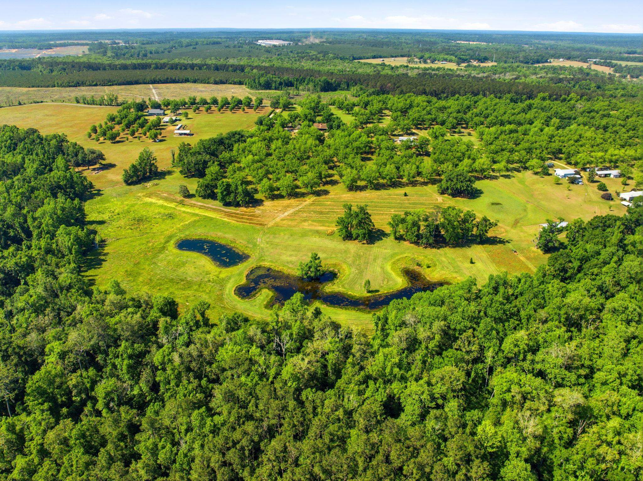 1590 Tyson Road Monticello, FL 32344 - Photo 46 of 56