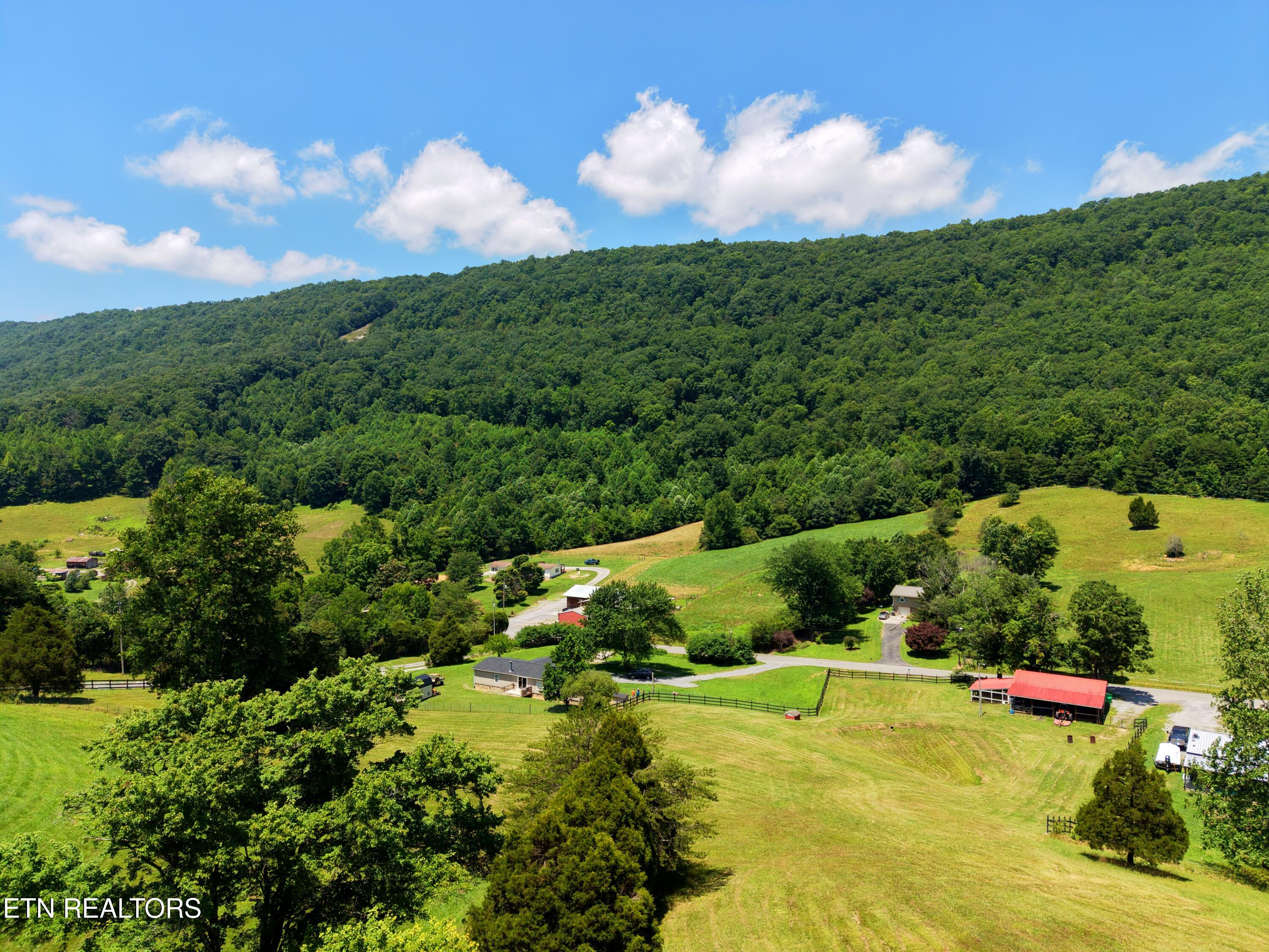1319 Ideal Valley Road Spring City, TN 37381 - Photo 34 of 49 barn photos _1.19.1