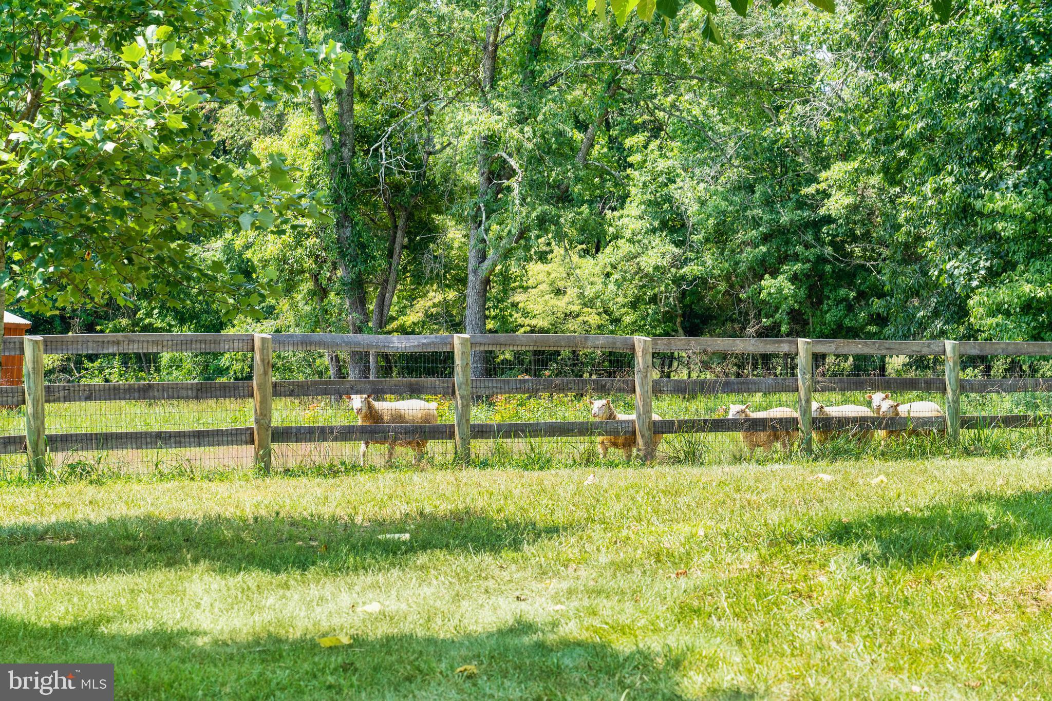 5742 Keyser Road Hume, VA 22639 - Photo 106 of 115 Gallery Image 106
