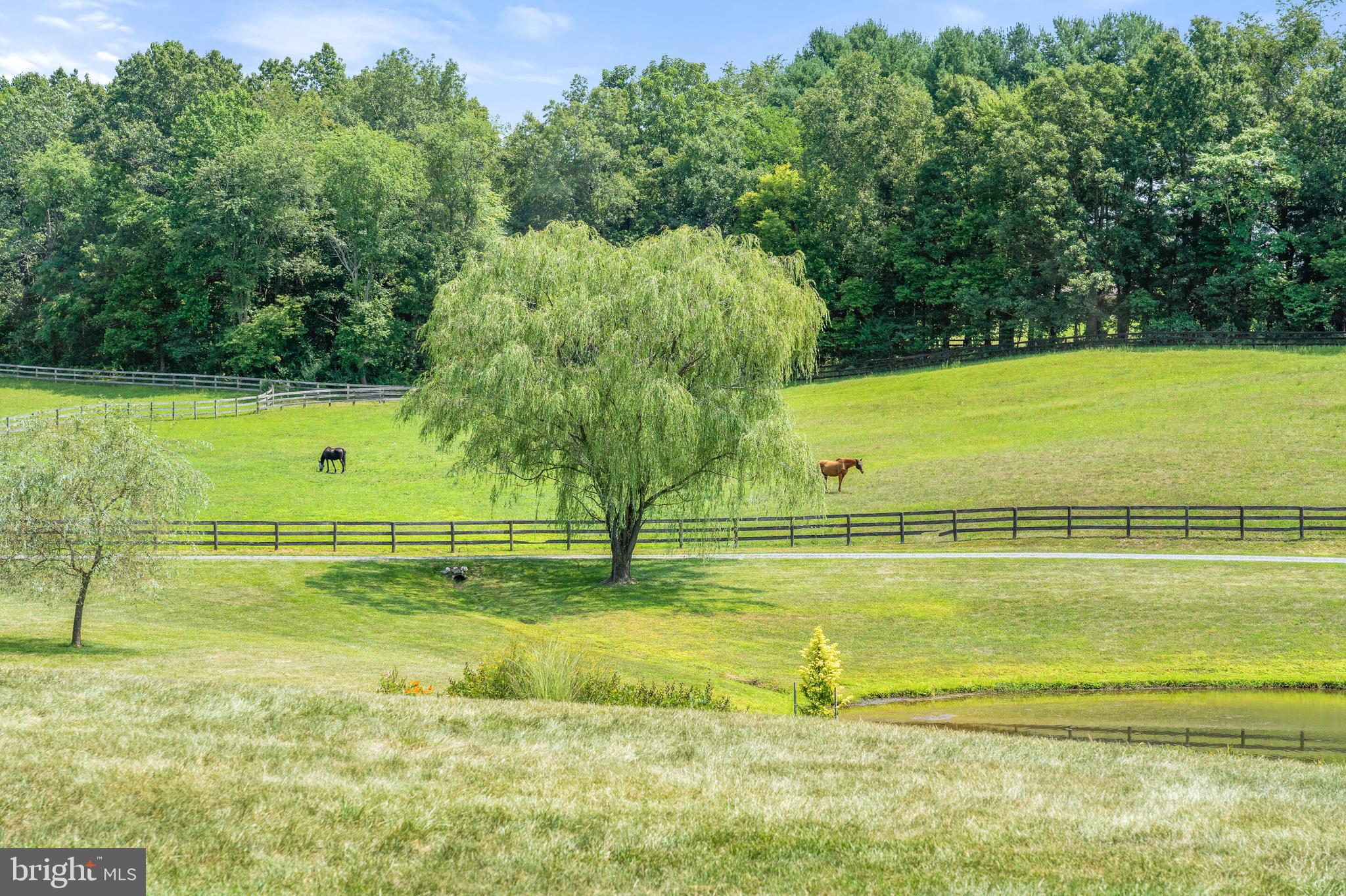 5742 Keyser Road Hume, VA 22639 - Photo 107 of 115 Gallery Image 107