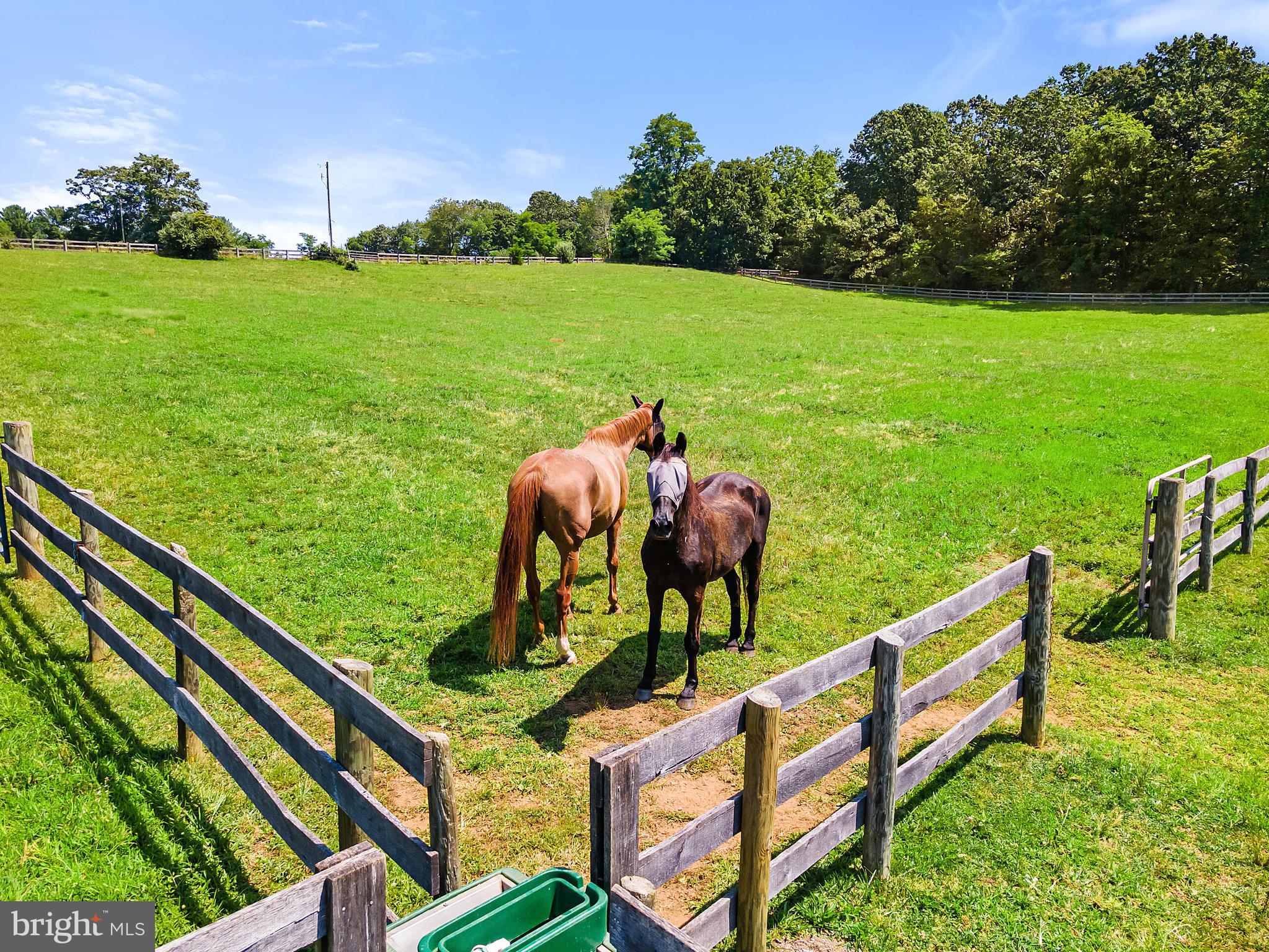 5742 Keyser Road Hume, VA 22639 - Photo 12 of 115 Gallery Image 12