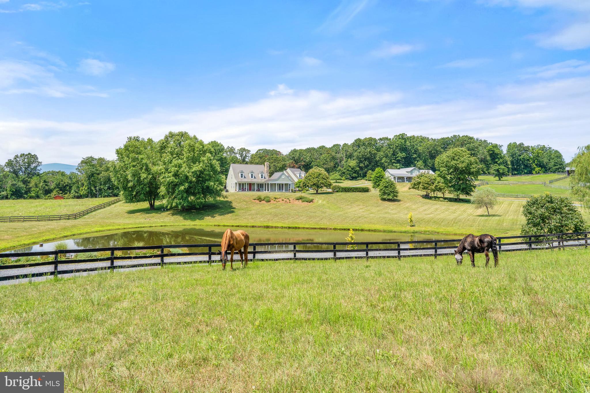 5742 Keyser Road Hume, VA 22639 - Photo 112 of 115 Gallery Image 112