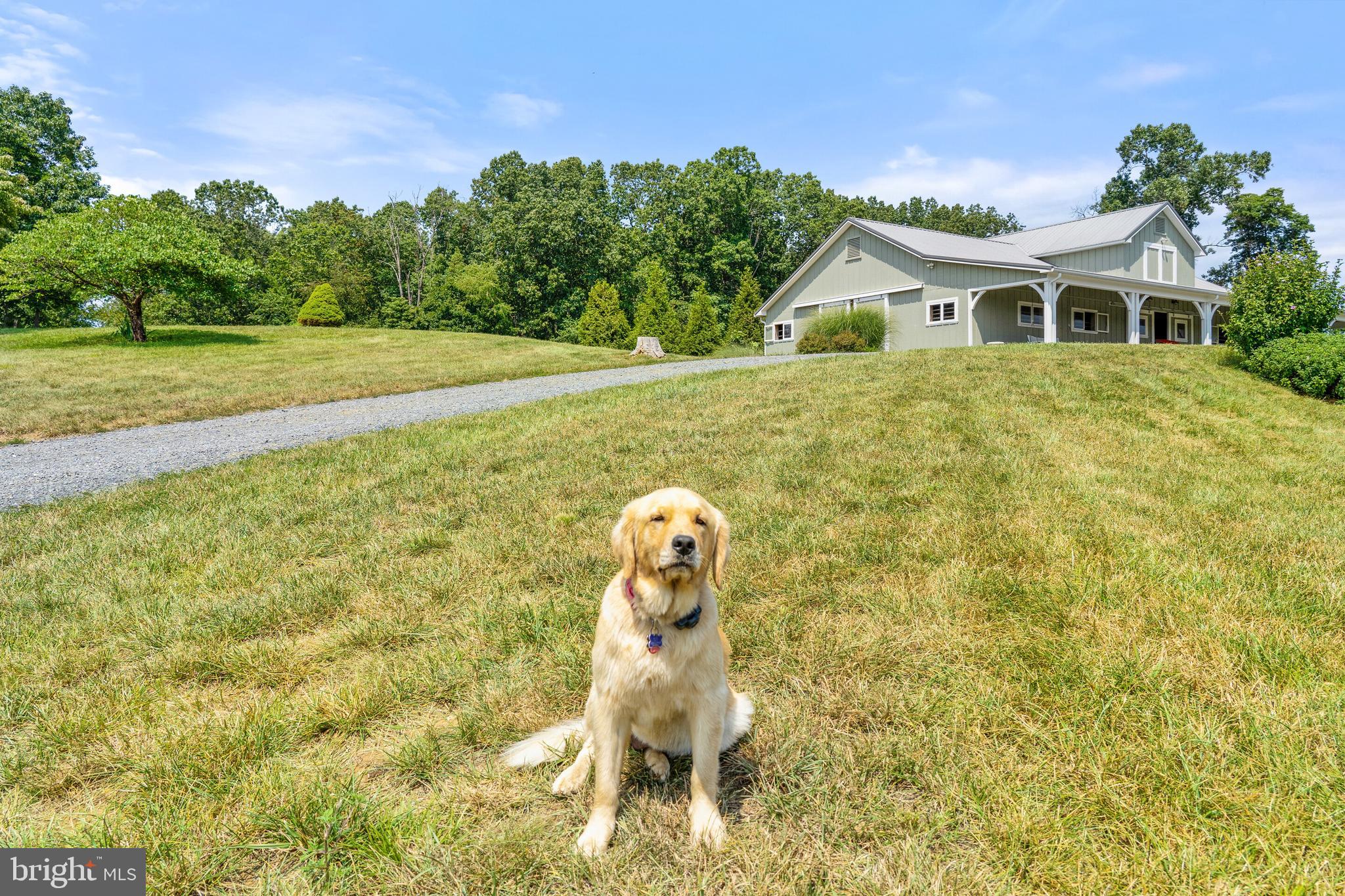 5742 Keyser Road Hume, VA 22639 - Photo 93 of 115 Wonderful dog does not convey