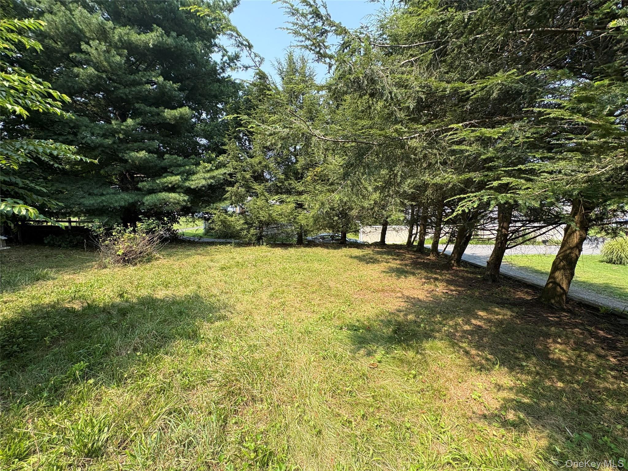 11 Chase Road Wallkill, NY 12589 - Photo 10 of 10 View of grassy yard