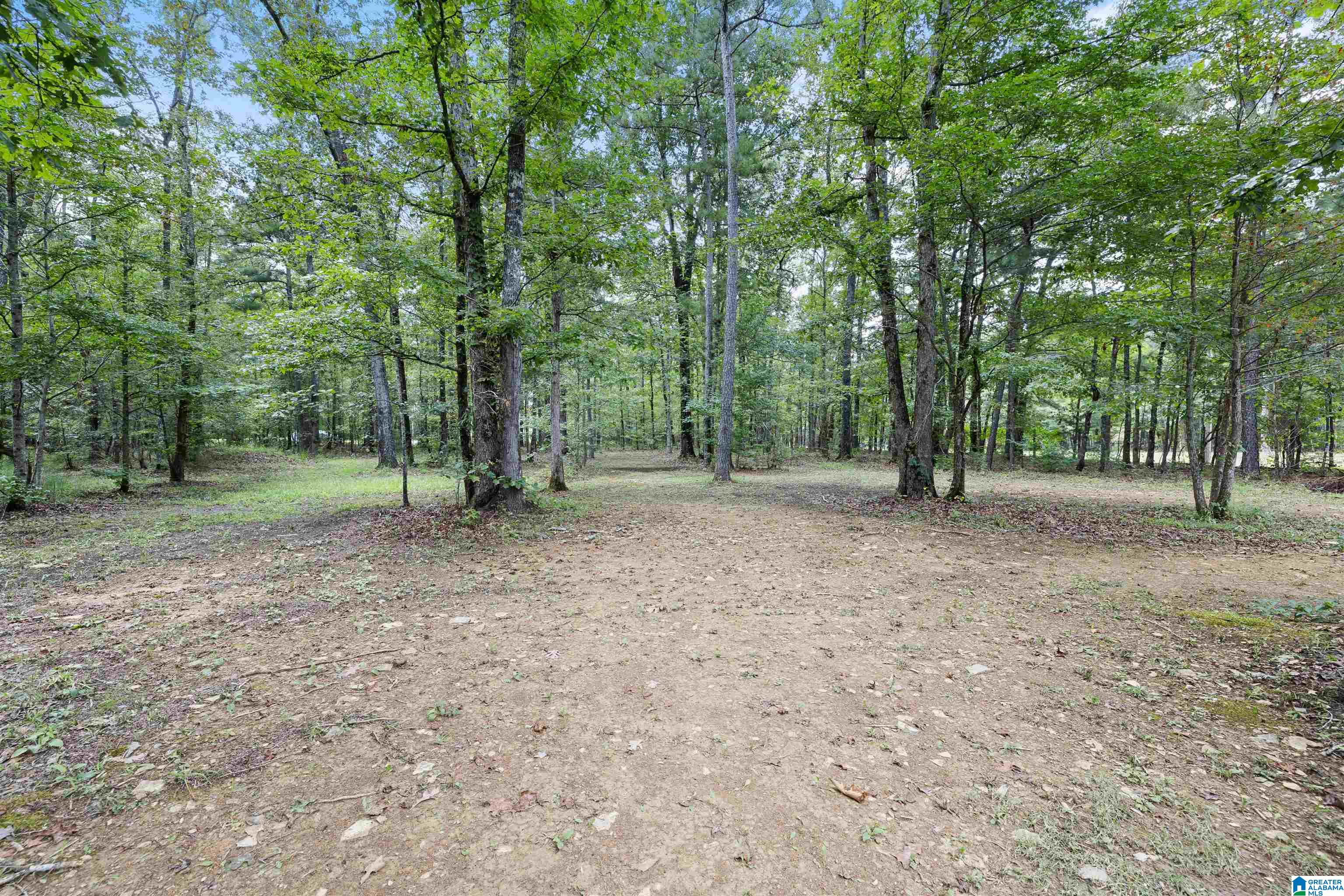 670 St Clair Road Springville, AL 35146 - Photo 26 of 35