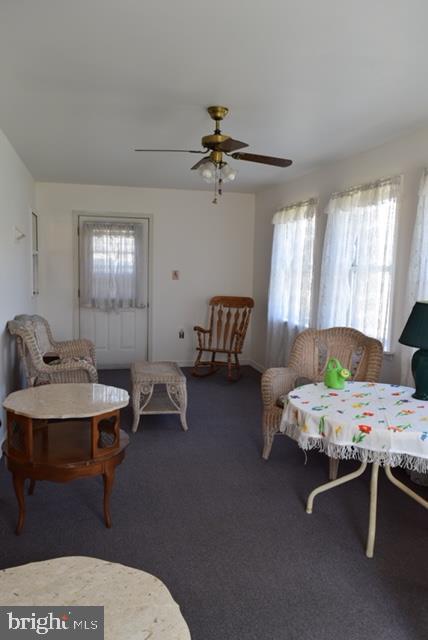 217 Towpath Road Duncannon, PA 17020 - Photo 14 of 48 Sun room