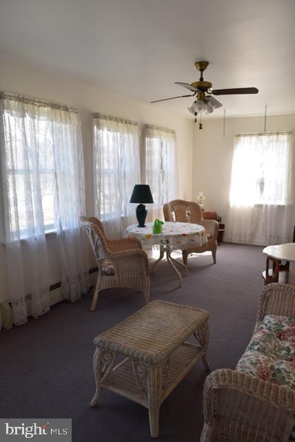 217 Towpath Road Duncannon, PA 17020 - Photo 15 of 48 Gallery Image 15
