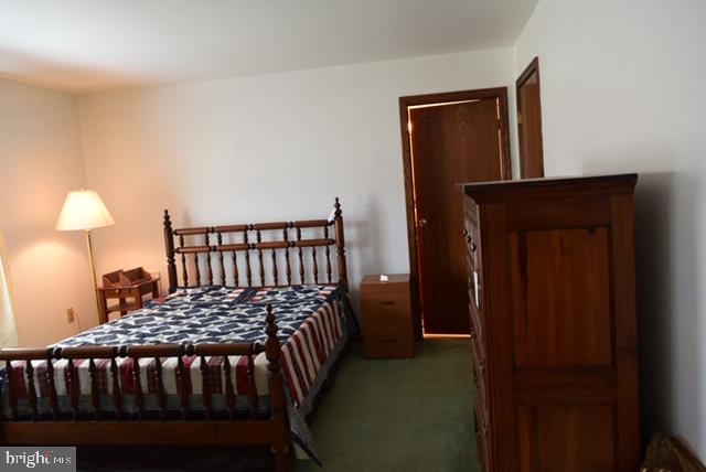 217 Towpath Road Duncannon, PA 17020 - Photo 20 of 48 Master Bedroom