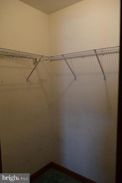 217 Towpath Road Duncannon, PA 17020 - Photo 22 of 48 Masterbedroom walk in closet