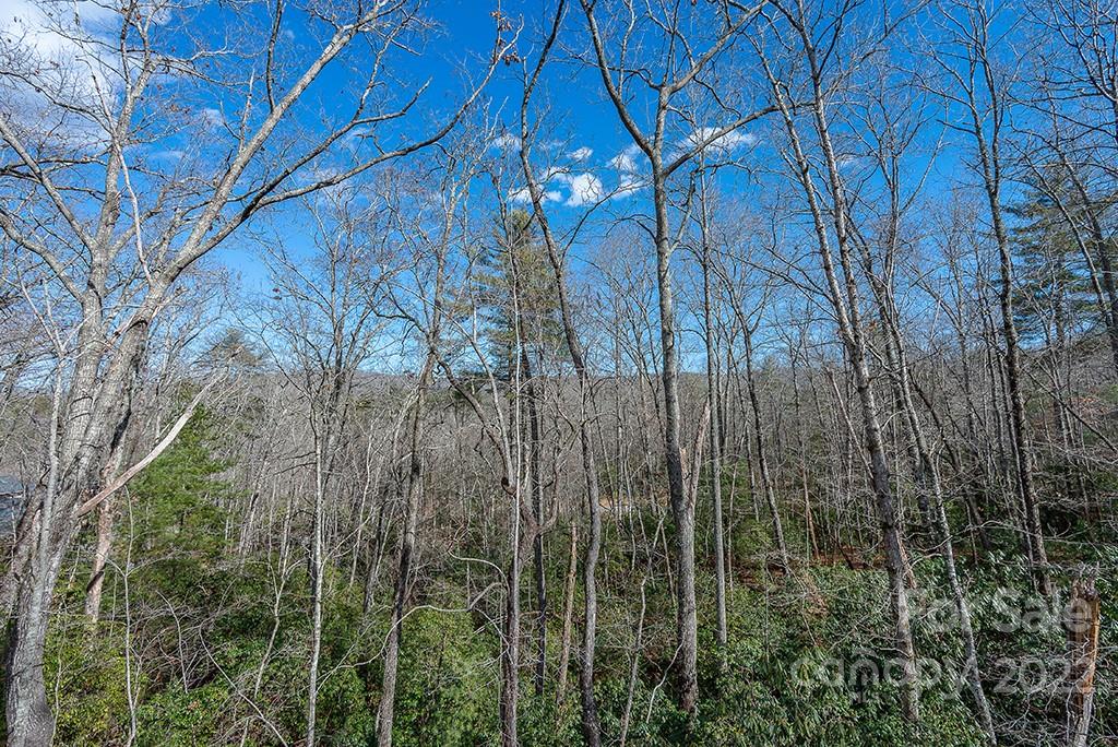 375 Knob Road Pisgah Forest, NC 28768 - Photo 33 of 39 Gallery Image 33