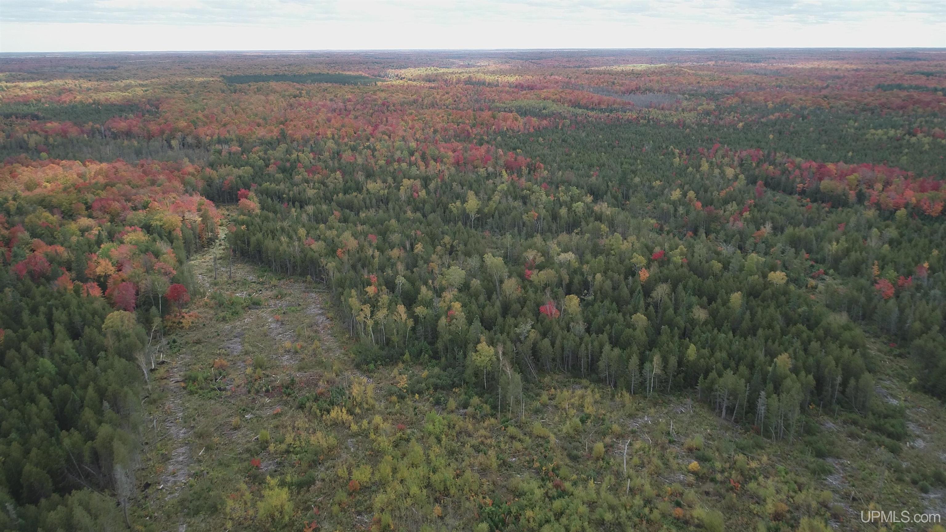 327 Rd Rumely Mi 49826 Road Skandia, MI 49885 - Photo 15 of 23