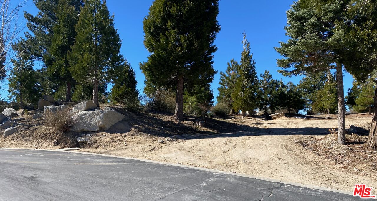 196 Mill Pond Road Lake Arrowhead, CA 92352 - Photo 12 of 36 a view of street with side of a road