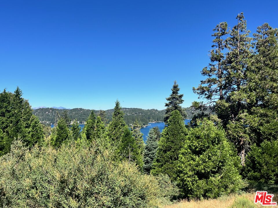196 Mill Pond Road Lake Arrowhead, CA 92352 - Photo 14 of 36 a view of a city