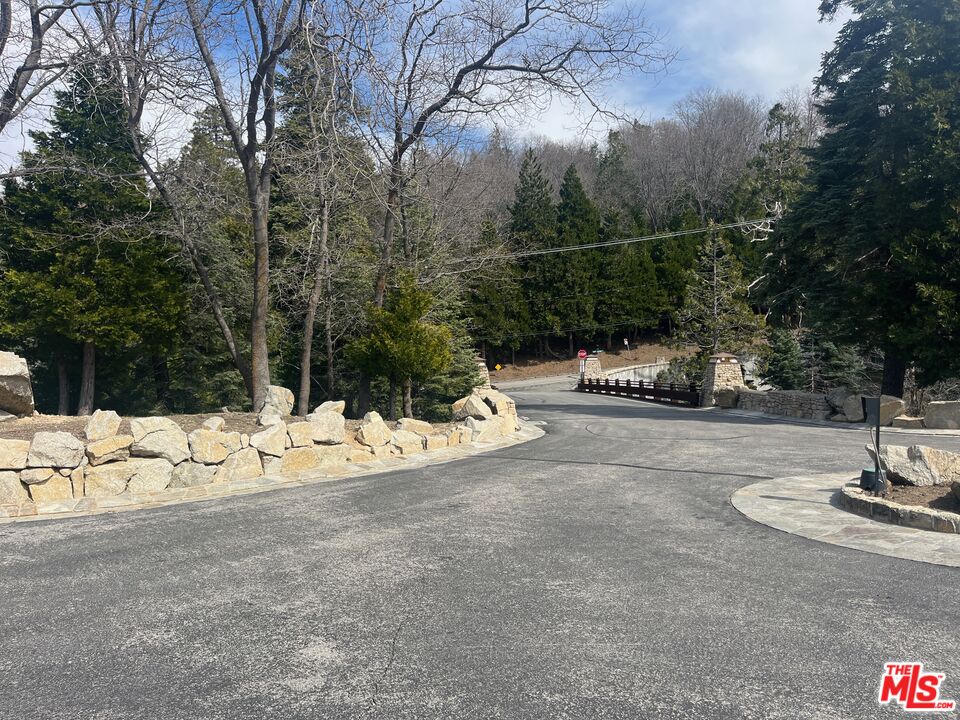 196 Mill Pond Road Lake Arrowhead, CA 92352 - Photo 27 of 36 a view of the road and a yard