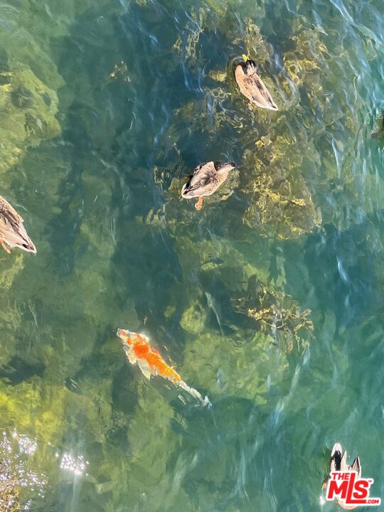 196 Mill Pond Road Lake Arrowhead, CA 92352 - Photo 28 of 36 a bird view of swimming pool