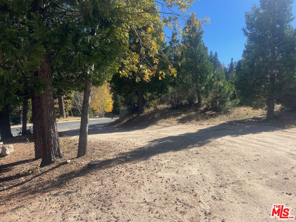 196 Mill Pond Road Lake Arrowhead, CA 92352 - Photo 4 of 36 a view of a yard with plants and trees
