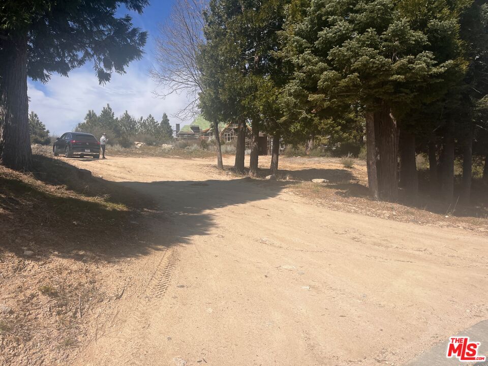 196 Mill Pond Road Lake Arrowhead, CA 92352 - Photo 7 of 36 a view of dirt yard with a large tree