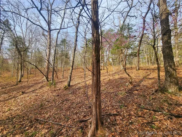 $256,295 | Lot 6 State Aa Road, Roach, MO 65787