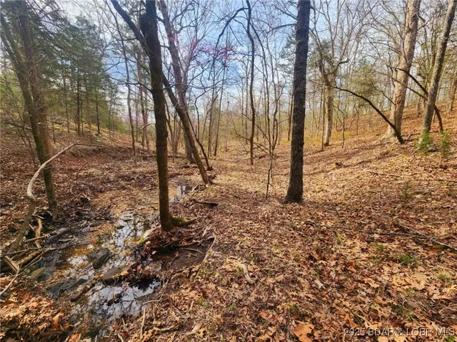 $256,295 | Lot 6 State Aa Road, Roach, MO 65787