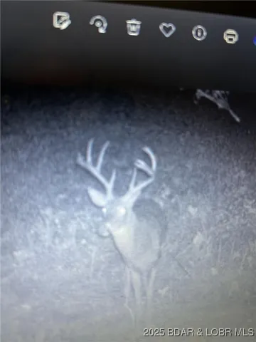 $256,295 | Lot 6 State Aa Road, Roach, MO 65787