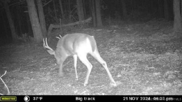 Lot 6 State Aa Road Roach, MO 65787 - Photo 22 of 27