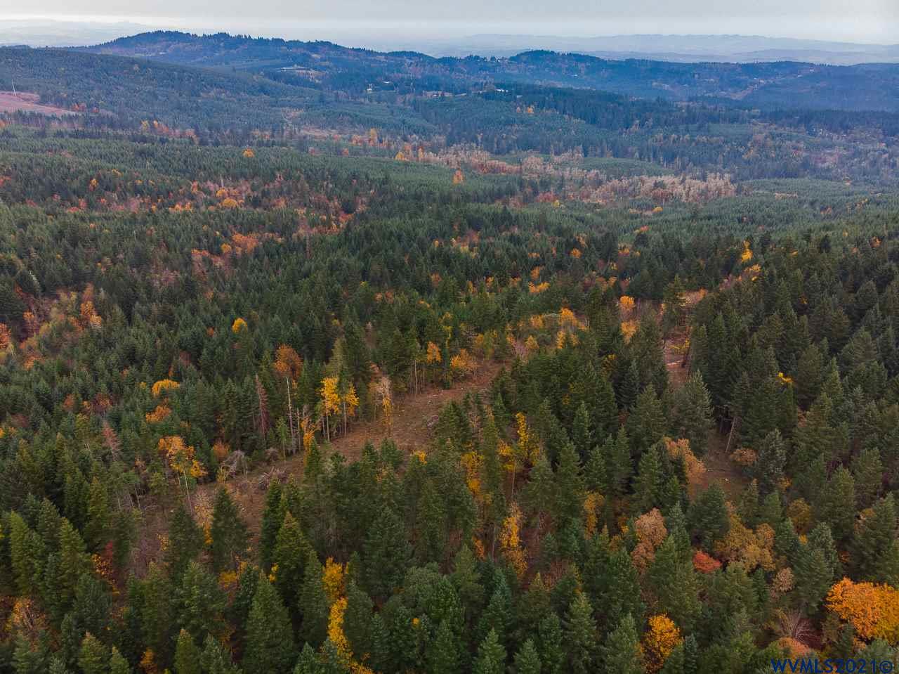 17935 Robb Mill Road Dallas, OR 97338 - Photo 10 of 19 a view of city and mountain