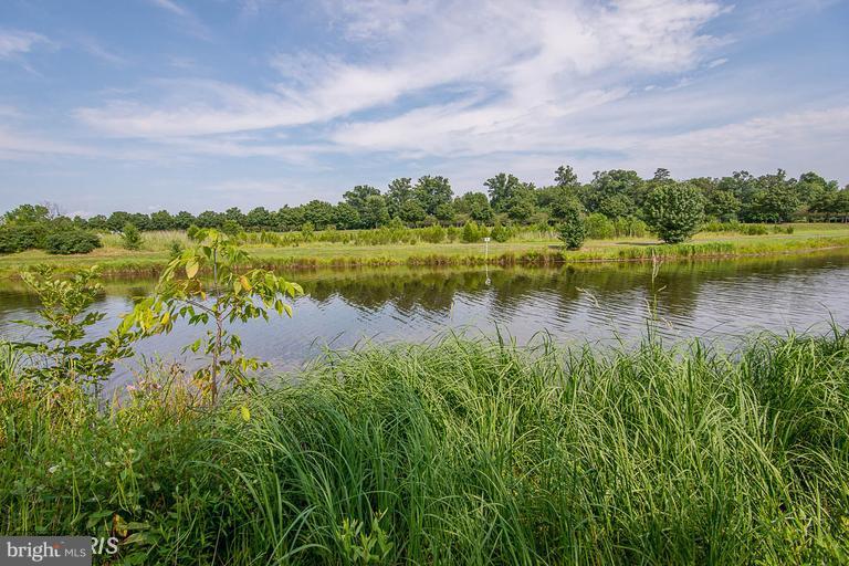 25252 Riffleford Square, Unit 101 Chantilly, VA 20152 - Photo 26 of 30 a view of a lake with a yard