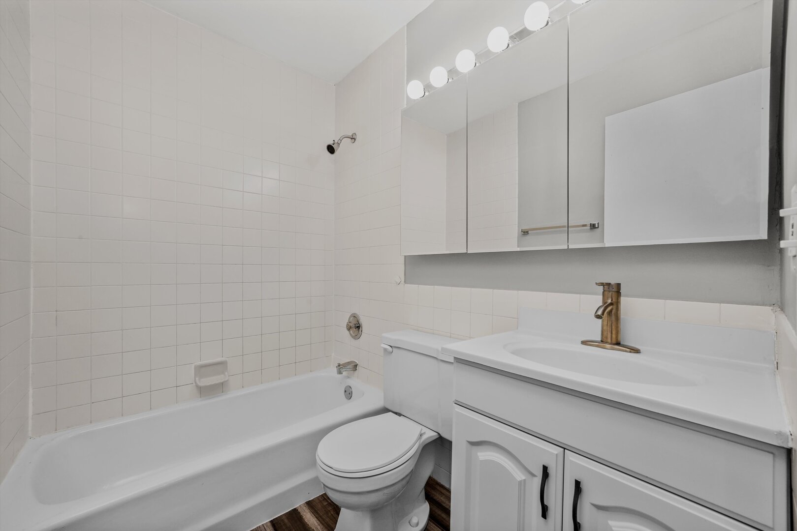 3617 Central Avenue East, Unit 201 Glenview, IL 60025 - Photo 14 of 21 a bathroom with a sink a toilet and bathtub