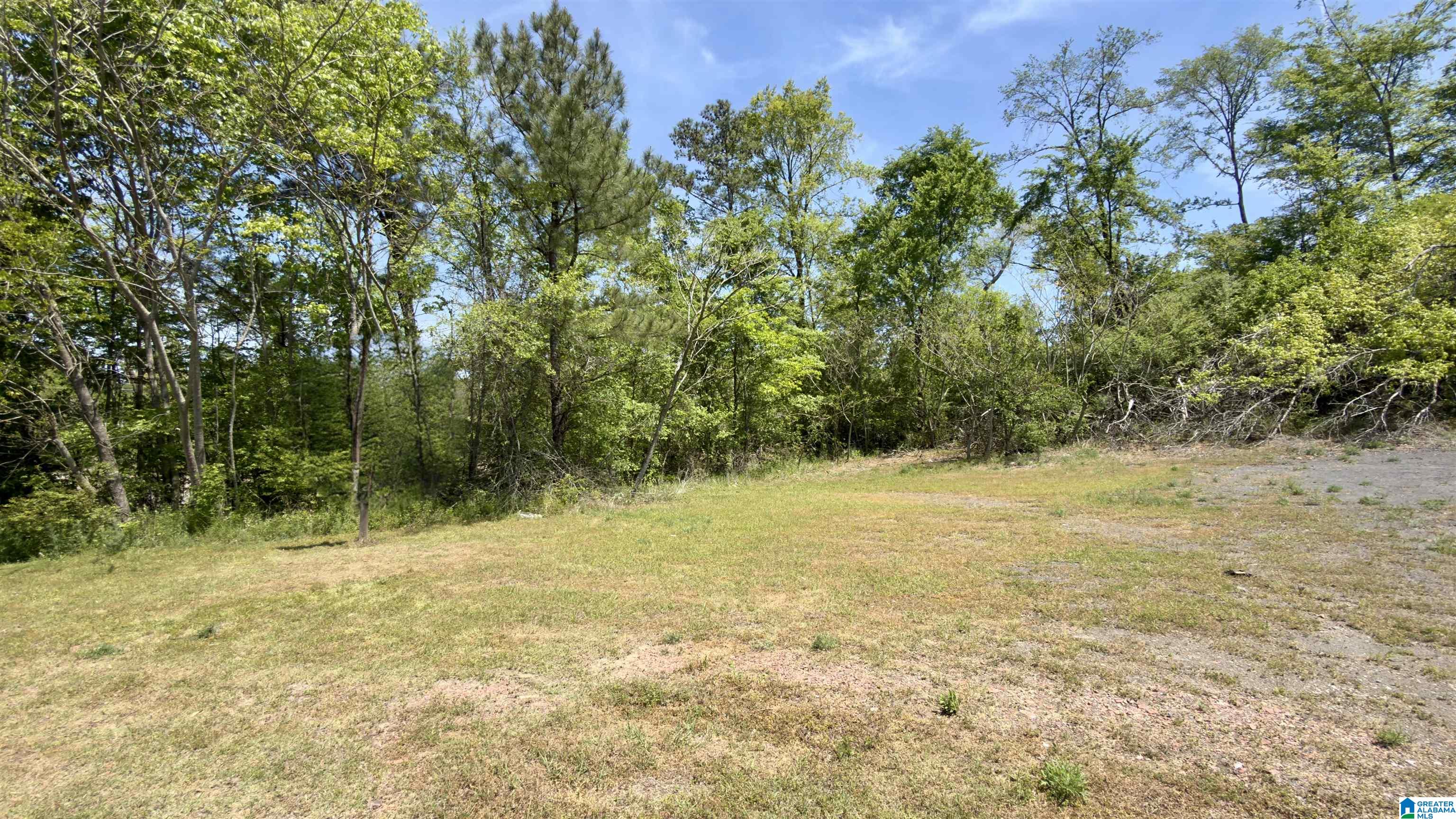 2111 Decatur Highway Fultondale, AL 35068 - Photo 3 of 13