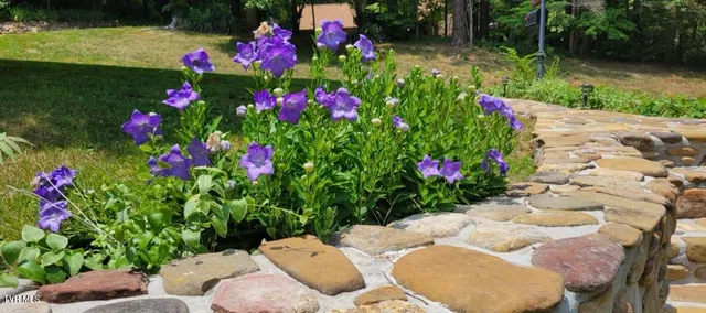 $650,000 | 1934 Old Walnut Lane, Jefferson City, TN 37760