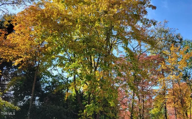 $650,000 | 1934 Old Walnut Lane, Jefferson City, TN 37760