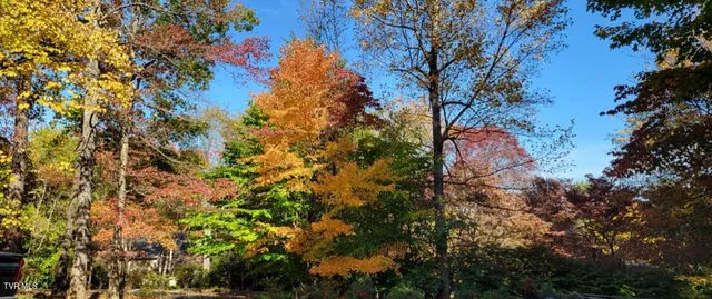 $650,000 | 1934 Old Walnut Lane, Jefferson City, TN 37760