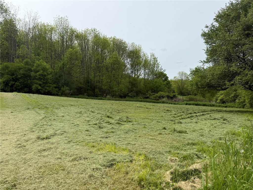 0 Mapledale Road Cassville, NY 13318 - Photo 1 of 1 Gallery Image 1