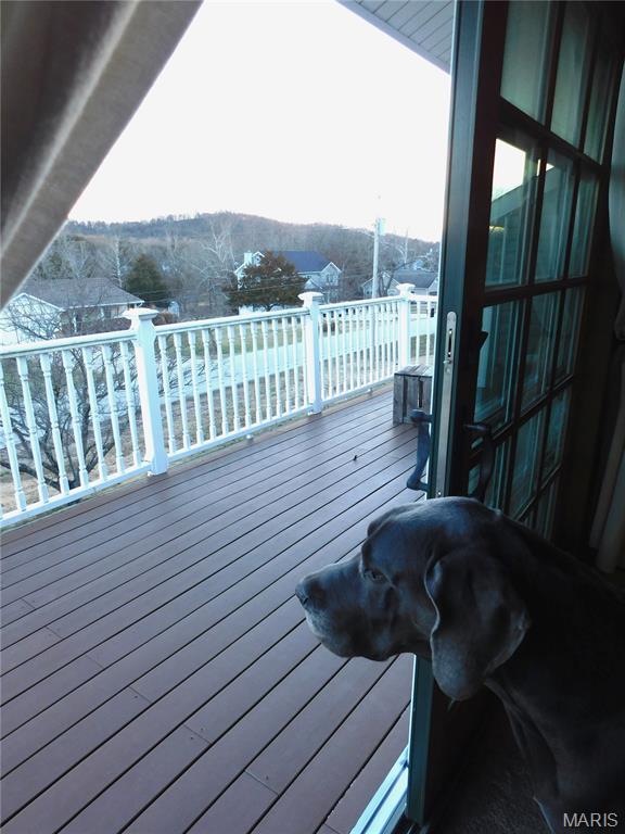 1802 Deer Run Trail Pacific, MO 63069 - Photo 30 of 42