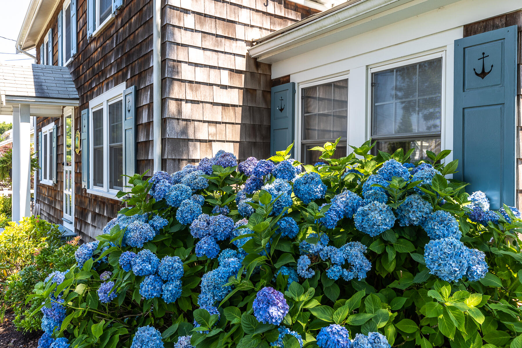 16 Hamilton Road Dennis Port, MA 02639 - Photo 8 of 66 598A0907