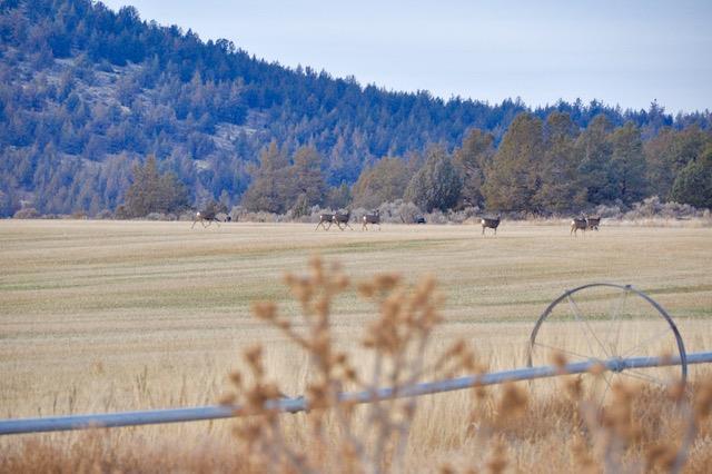 26911 Paygr Road Merrill, OR 97633 - Photo 2 of 25 Additional Photo