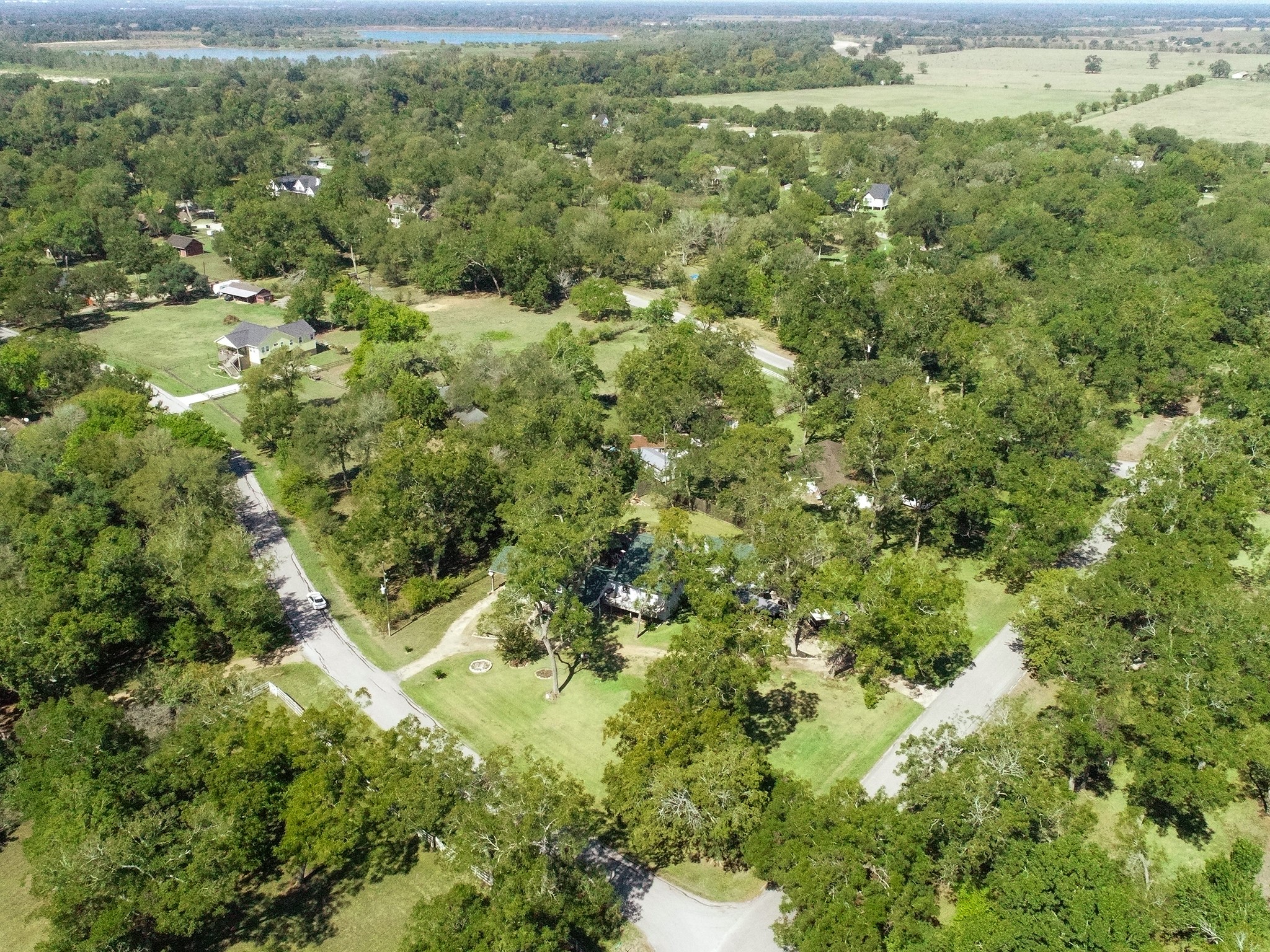 1505 Wagon Road Simonton, TX 77485 - Photo 47 of 50 a view of a forest with a houses