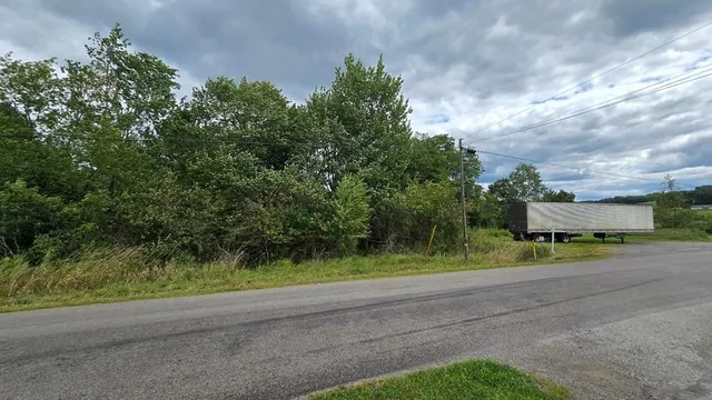 a view of a field with a tree in the background