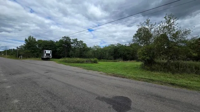 a view of a garden with a lake