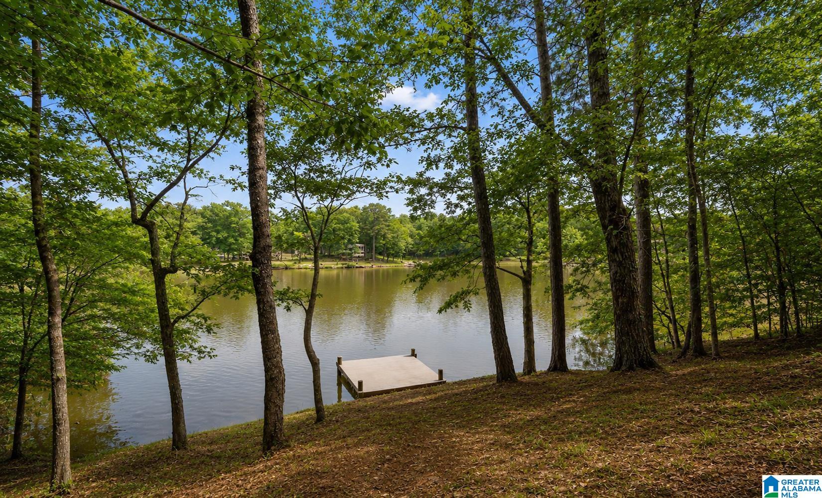 1775 Broken Arrow Creek Road Riverside, AL 35135 - Photo 25 of 43