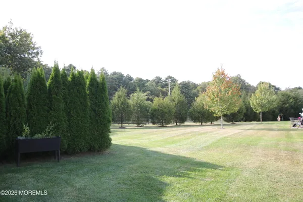 a view of a field with trees in the background