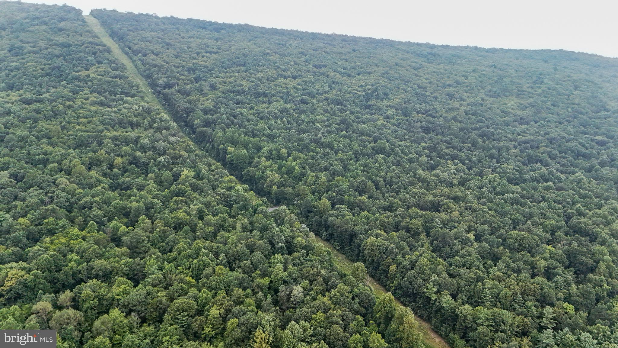 Mountain Road James Creek, PA 16657 - Photo 2 of 27 Lush green canopy meets a clear path.