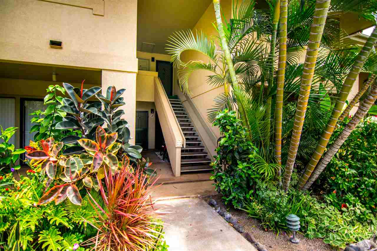 1450 South Kihei Road, Unit A205 Kihei, HI 96753 - Photo 3 of 24 a view of a potted plants next to a wall