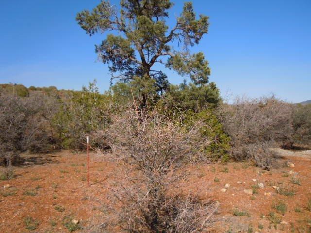 0 Country Canyon Road Tehachapi, CA 93561 - Photo 16 of 16 Gallery Image 16