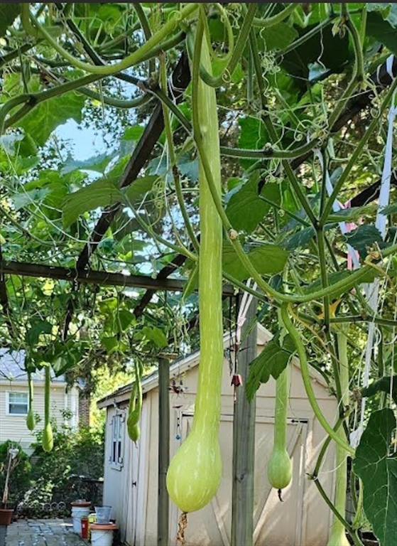 560 Worcester Street Wellesley, MA 02481 - Photo 39 of 42