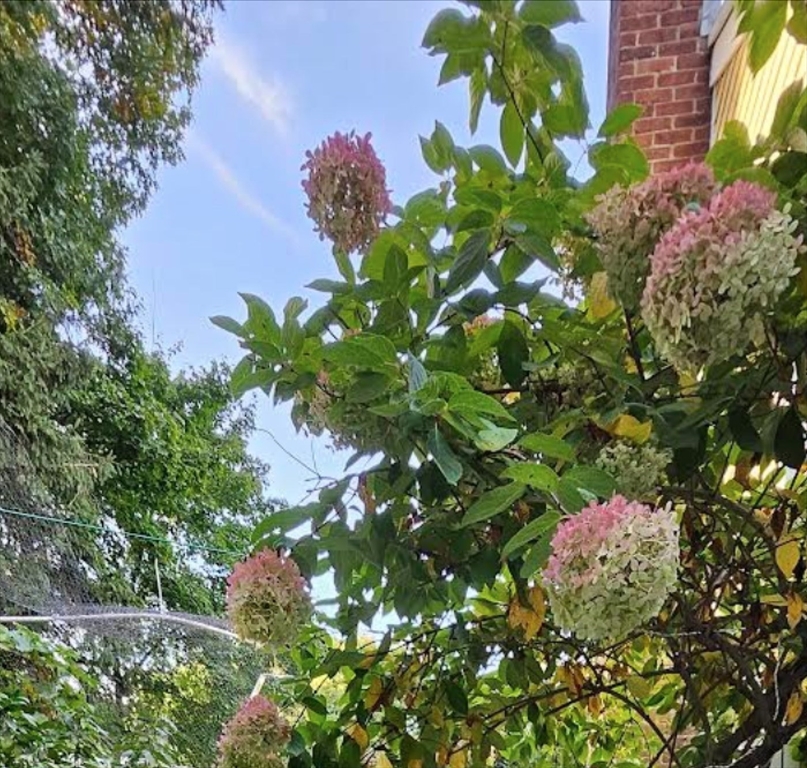 560 Worcester Street Wellesley, MA 02481 - Photo 41 of 42