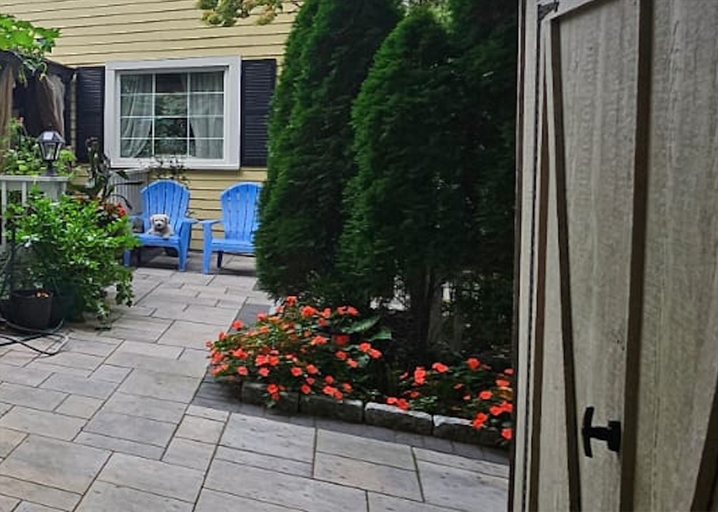 560 Worcester Street Wellesley, MA 02481 - Photo 42 of 42