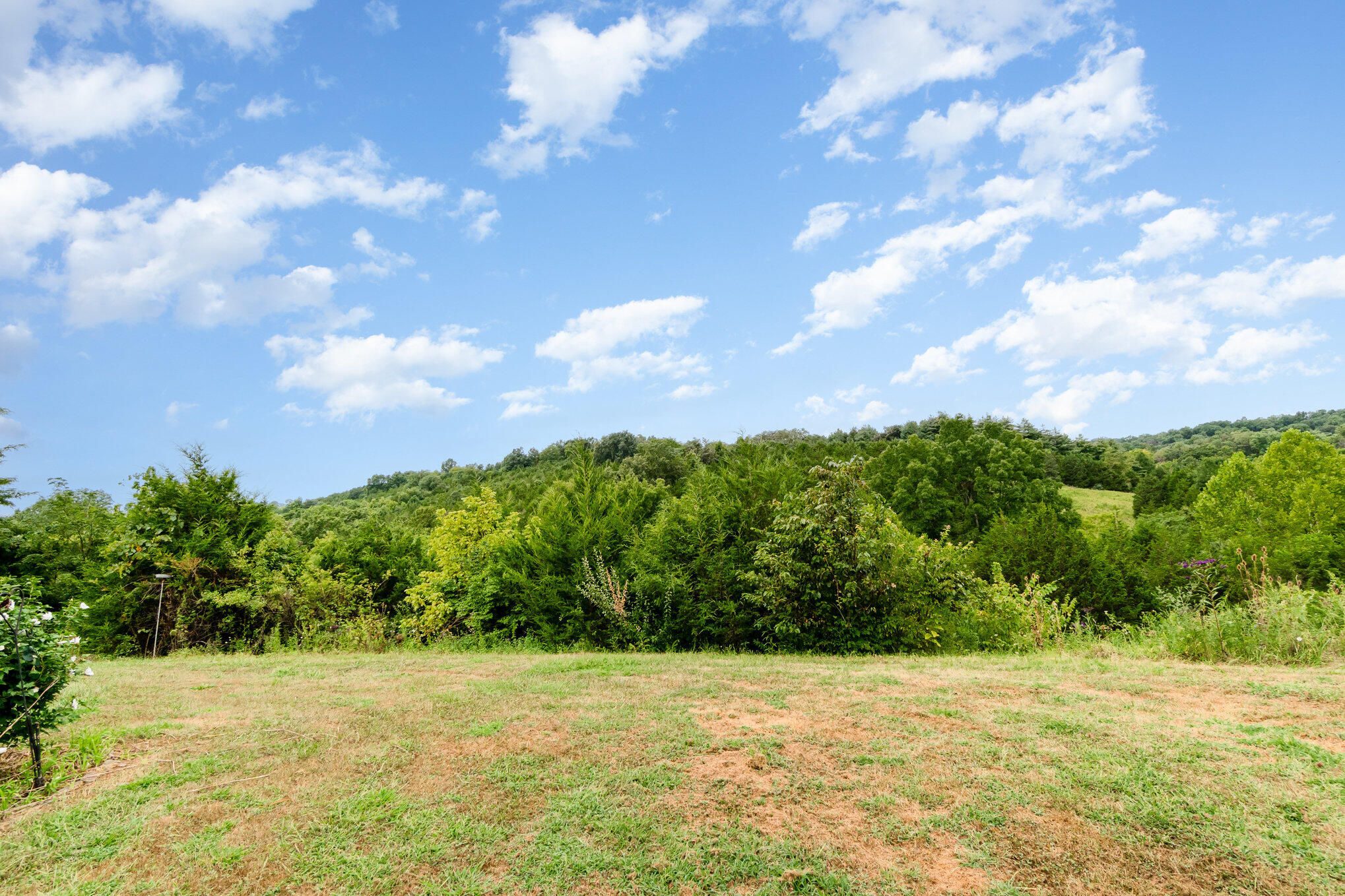 134 Buffalo Ridge Road Falmouth, KY 41040 - Photo 22 of 33